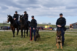 Policjanci podczas zabezpieczenia meczu w Czeluśnicy
